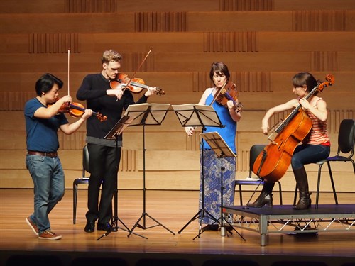 Flinders Quartet Rehearsing